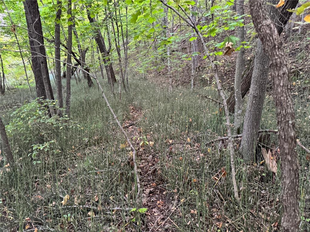 (Lot 1) TBD NE Rock Lake Road Rochert MN 56578 - Rock 6785085 image32