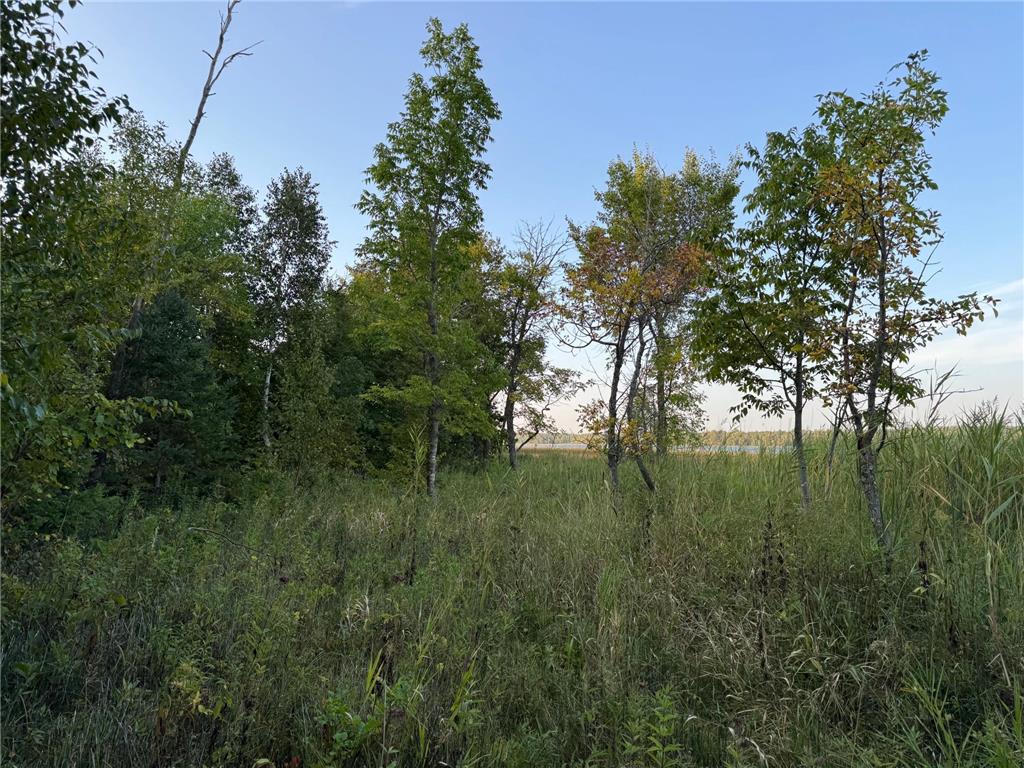 (Lot 1) TBD NE Rock Lake Road Rochert MN 56578 - Rock 6785085 image35