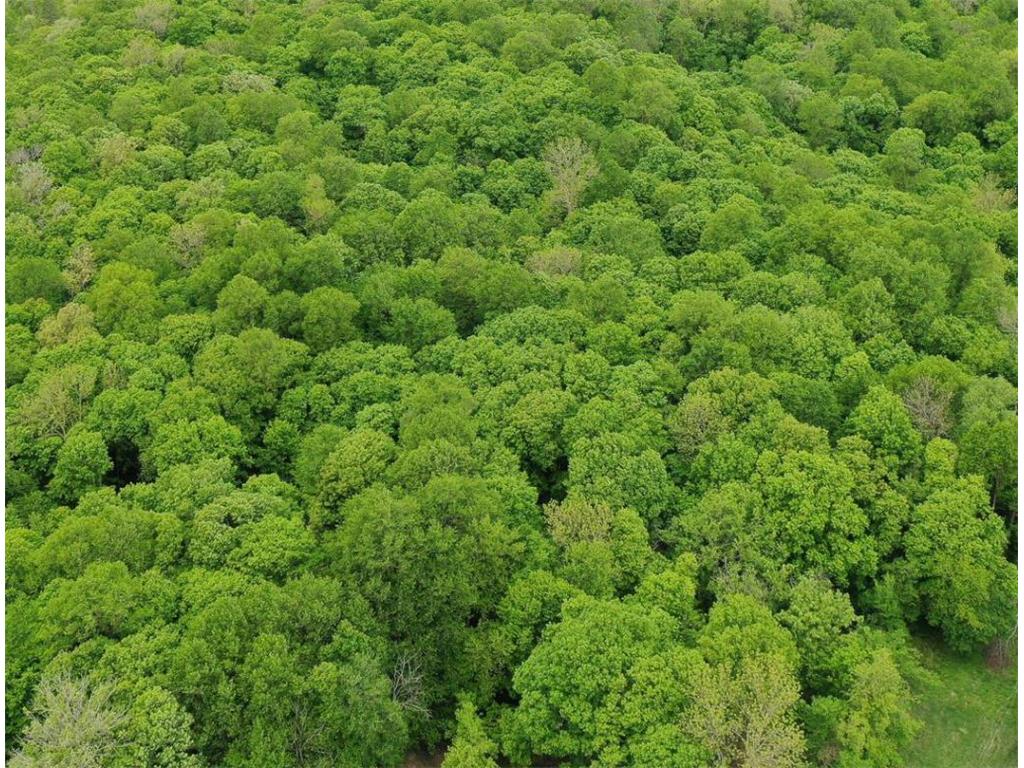 (Lot 10) TBD NE Rock Lake Road Rochert MN 56578 6786483 image1