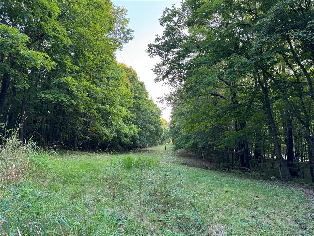 (Lot 2) TBD NE Rock Lake Road Rochert MN 56578 - Rock 6785693 image20