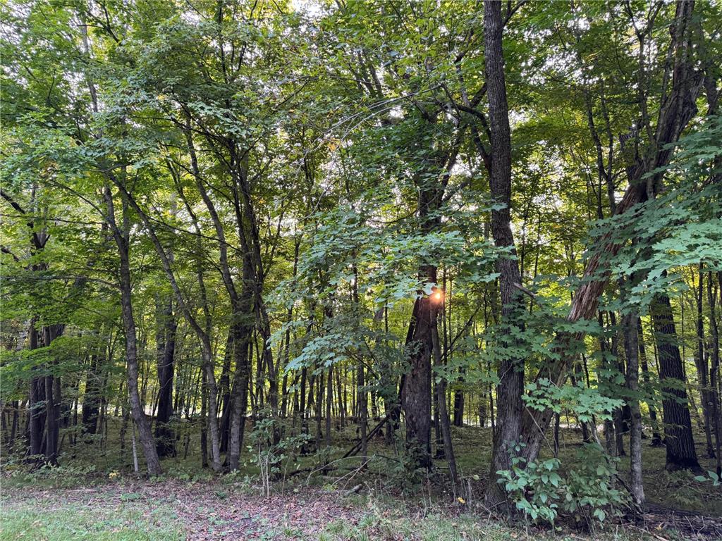 (Lot 2) TBD NE Rock Lake Road Rochert MN 56578 - Rock 6785693 image21