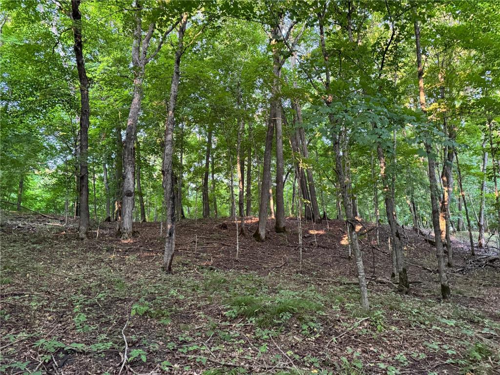 (Lot 2) TBD NE Rock Lake Road Rochert MN 56578 - Rock 6785693 image26