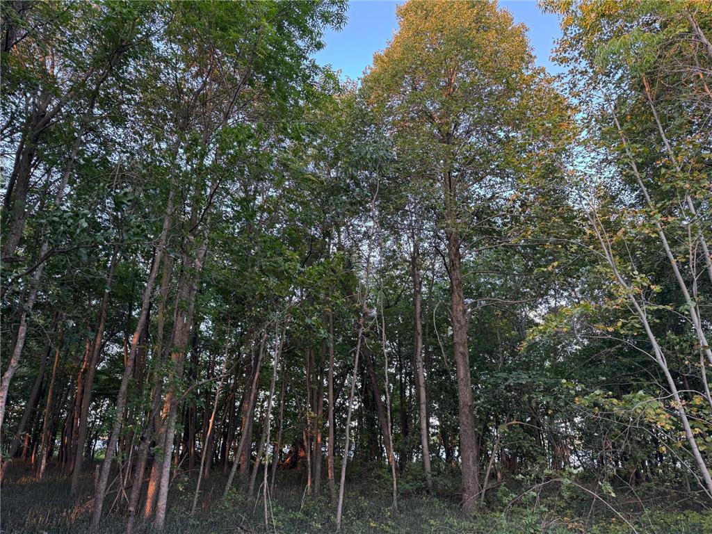 (Lot 2) TBD NE Rock Lake Road Rochert MN 56578 - Rock 6785693 image9