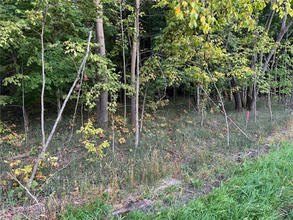 (Lot 3) TBD NE Rock Lake Road Rochert MN 56578 - Rock 6785708 image18