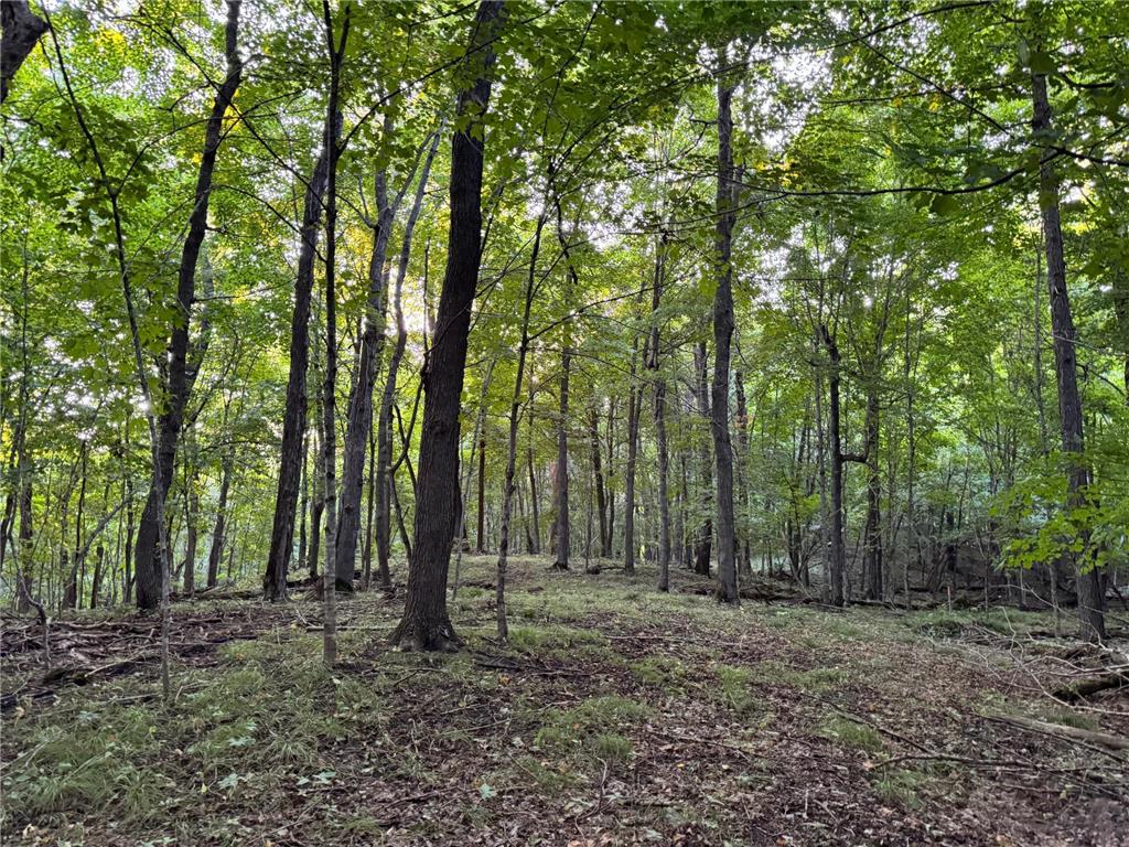 (Lot 3) TBD NE Rock Lake Road Rochert MN 56578 - Rock 6785708 image27