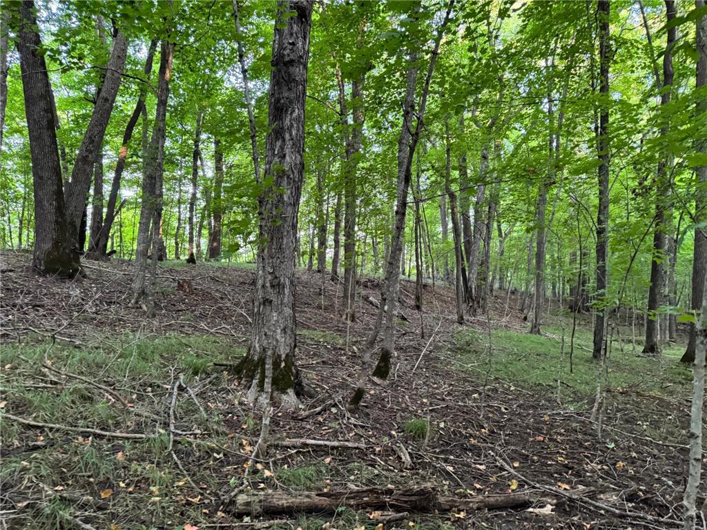 (Lot 3) TBD NE Rock Lake Road Rochert MN 56578 - Rock 6785708 image29