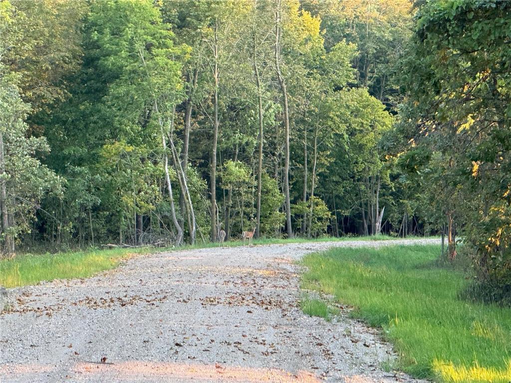 (Lot 4) 24628 NE Rock Lake Road Rochert MN 56578 - Rock 6785777 image11