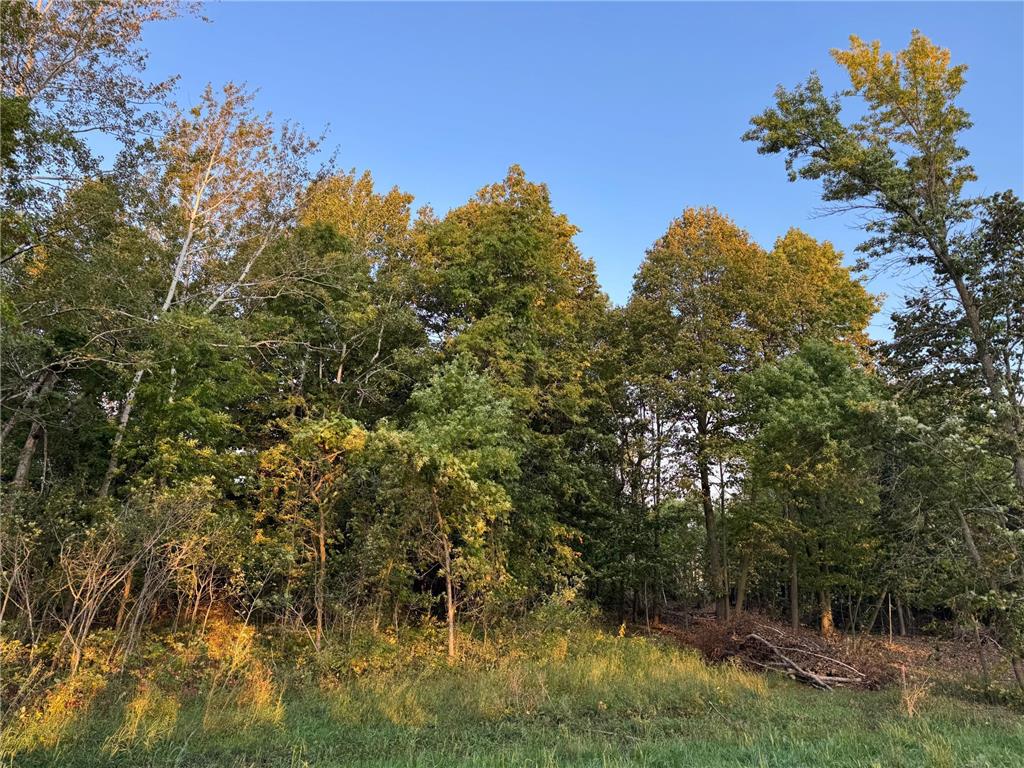 (Lot 4) 24628 NE Rock Lake Road Rochert MN 56578 - Rock 6785777 image17