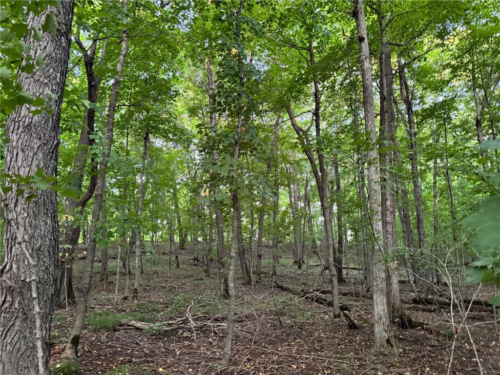 (Lot 4) 24628 NE Rock Lake Road Rochert MN 56578 - Rock 6785777 image29