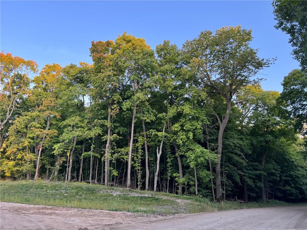 (Lot 5) 24612 NE Rock Lake Road Rochert MN 56578 - Rock 6785810 image20