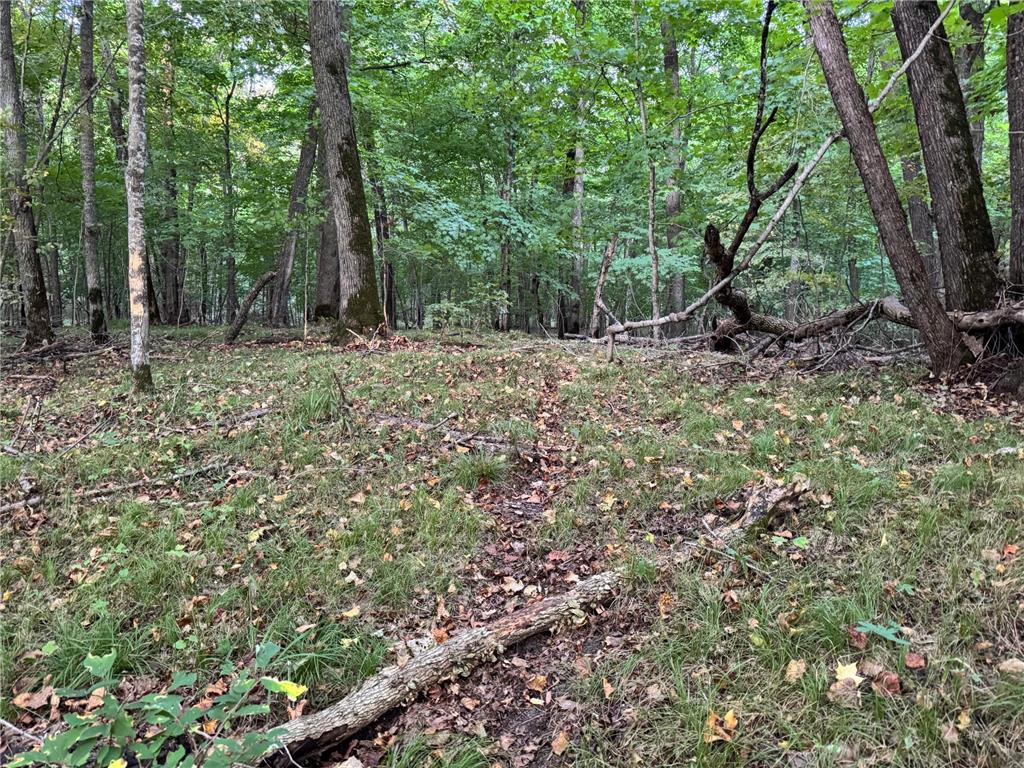 (Lot 5) 24612 NE Rock Lake Road Rochert MN 56578 - Rock 6785810 image23