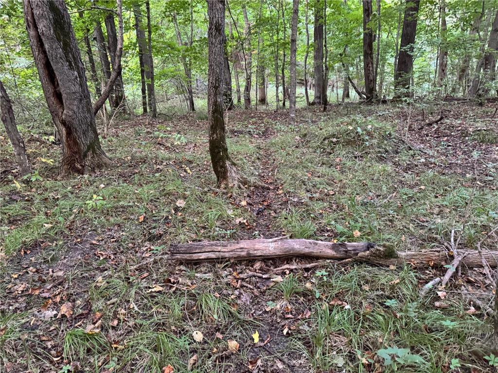 (Lot 5) 24612 NE Rock Lake Road Rochert MN 56578 - Rock 6785810 image24