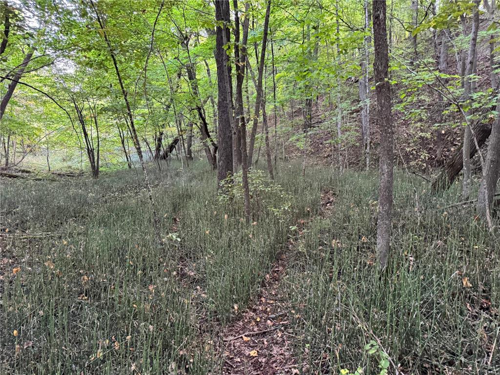 (Lot 5) 24612 NE Rock Lake Road Rochert MN 56578 - Rock 6785810 image35