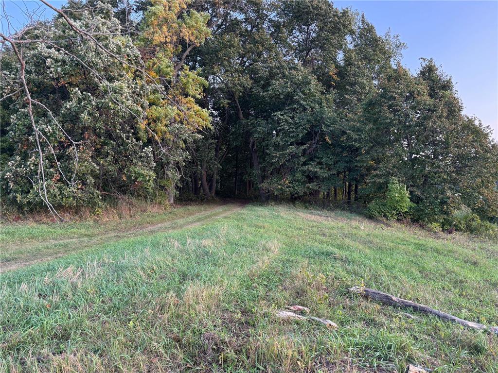 (Lot 6) TBD NE Rock Lake Road Rochert MN 56578 - Rock 6786458 image14