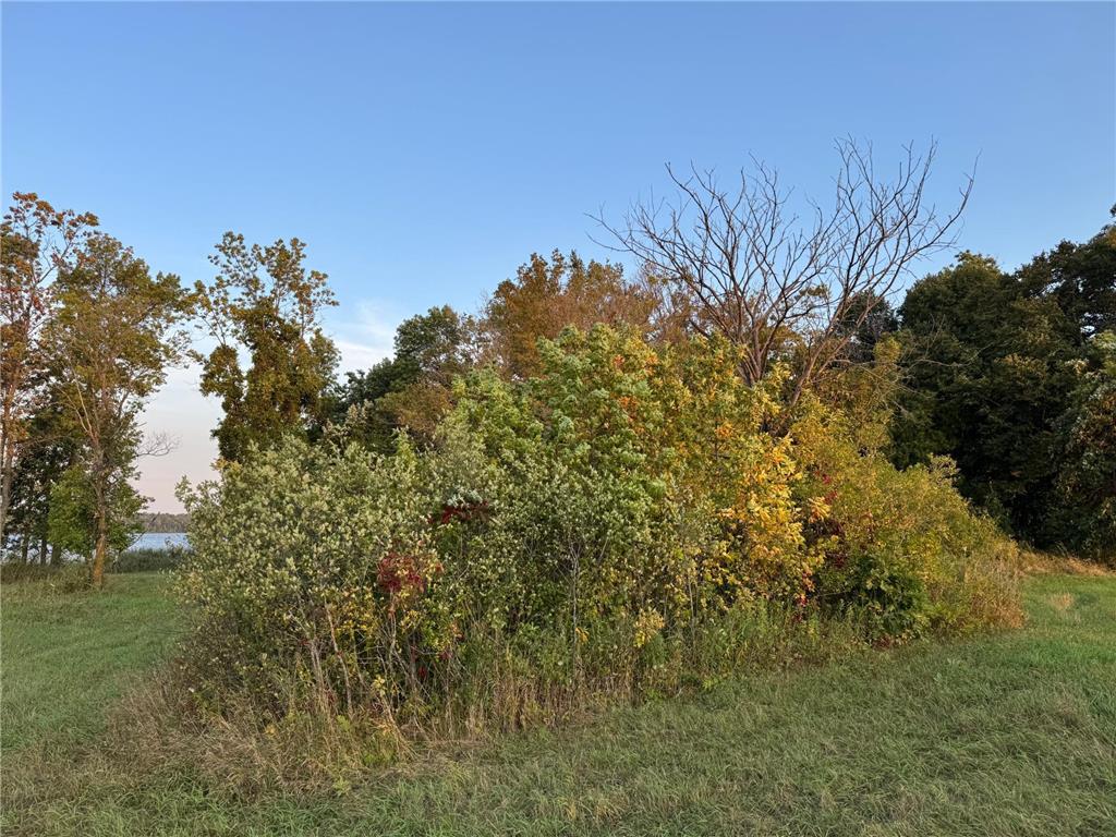 (Lot 6) TBD NE Rock Lake Road Rochert MN 56578 - Rock 6786458 image22