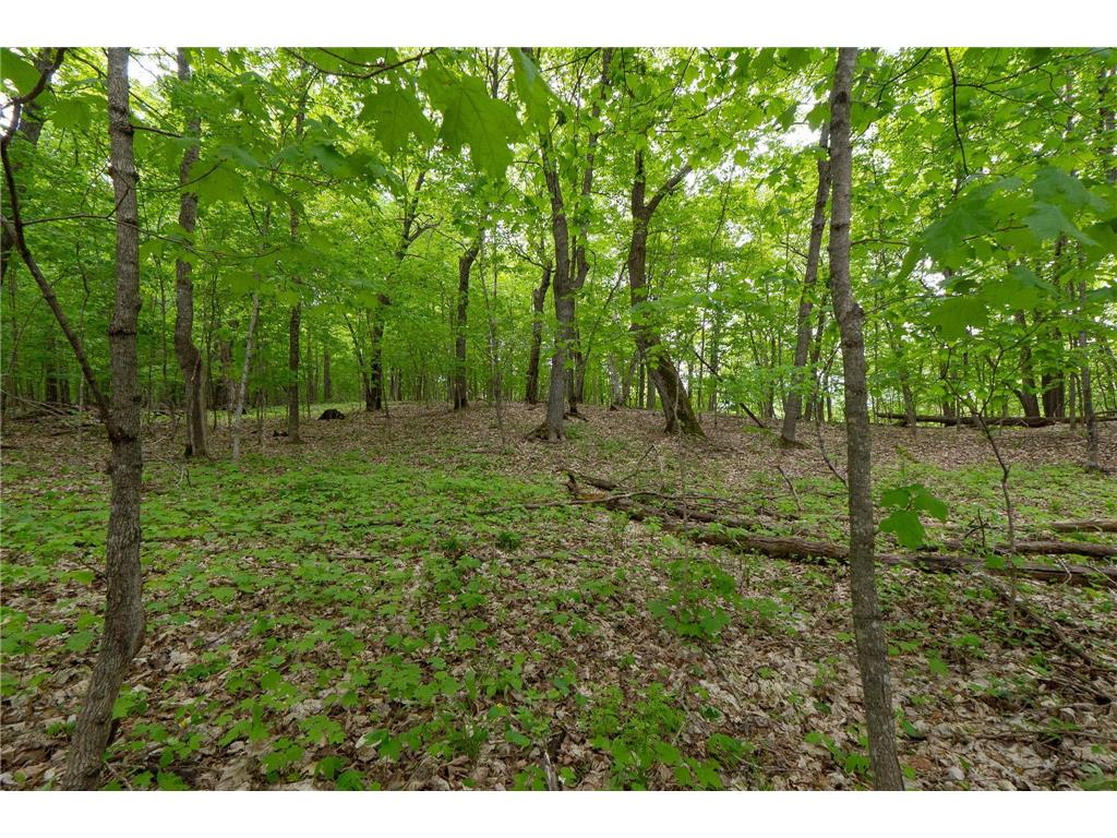 (Lot 9) TBD NE Rock Lake Road Rochert MN 56578 - Rock 6786471 image11