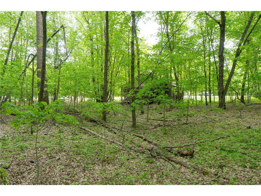 (Lot 9) TBD NE Rock Lake Road Rochert MN 56578 - Rock 6786471 image12