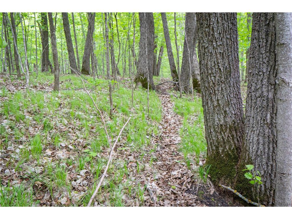 (Lot 9) TBD NE Rock Lake Road Rochert MN 56578 - Rock 6786471 image13