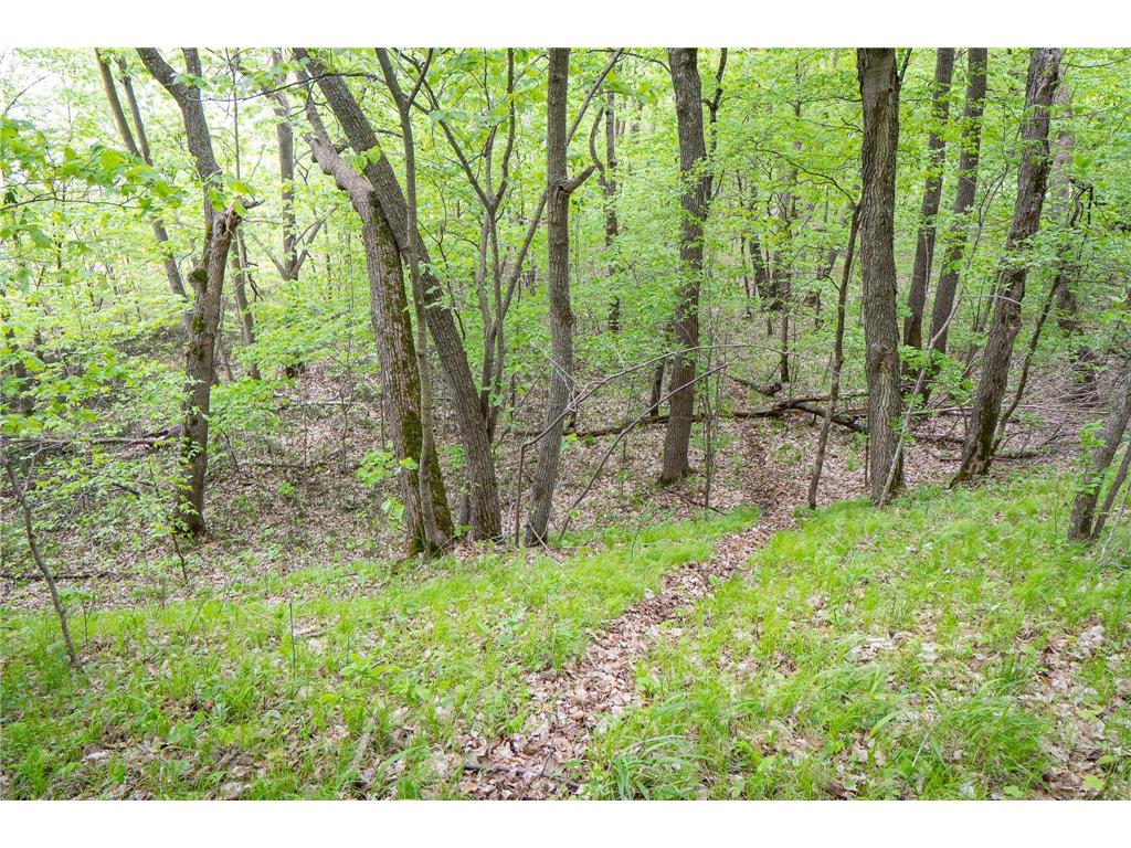 (Lot 9) TBD NE Rock Lake Road Rochert MN 56578 - Rock 6786471 image14