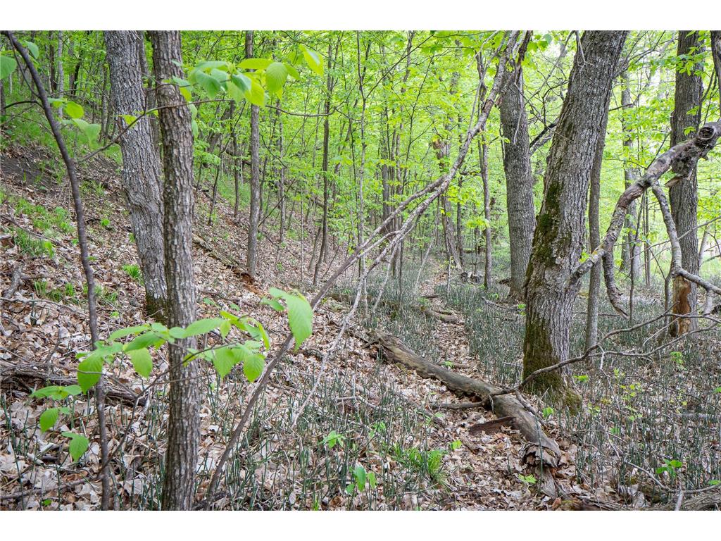 (Lot 9) TBD NE Rock Lake Road Rochert MN 56578 - Rock 6786471 image15