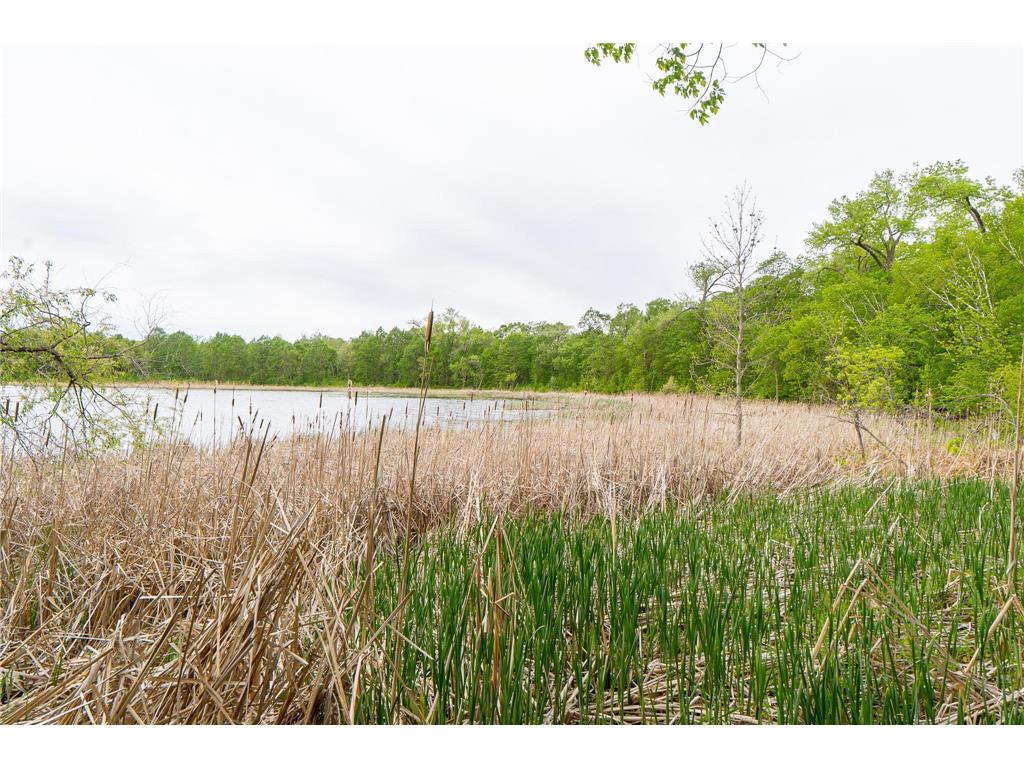 (Lot 9) TBD NE Rock Lake Road Rochert MN 56578 - Rock 6786471 image16