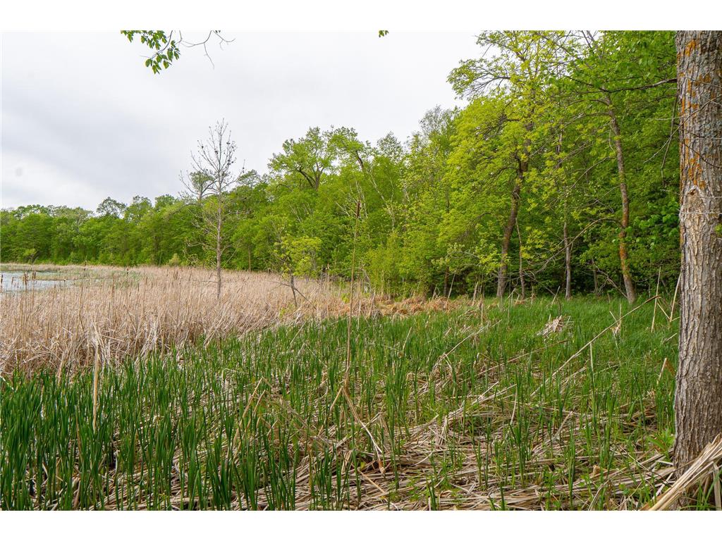 (Lot 9) TBD NE Rock Lake Road Rochert MN 56578 - Rock 6786471 image17