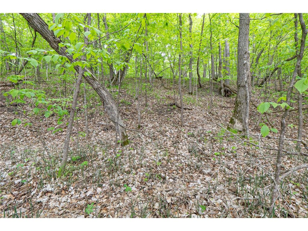 (Lot 9) TBD NE Rock Lake Road Rochert MN 56578 - Rock 6786471 image22