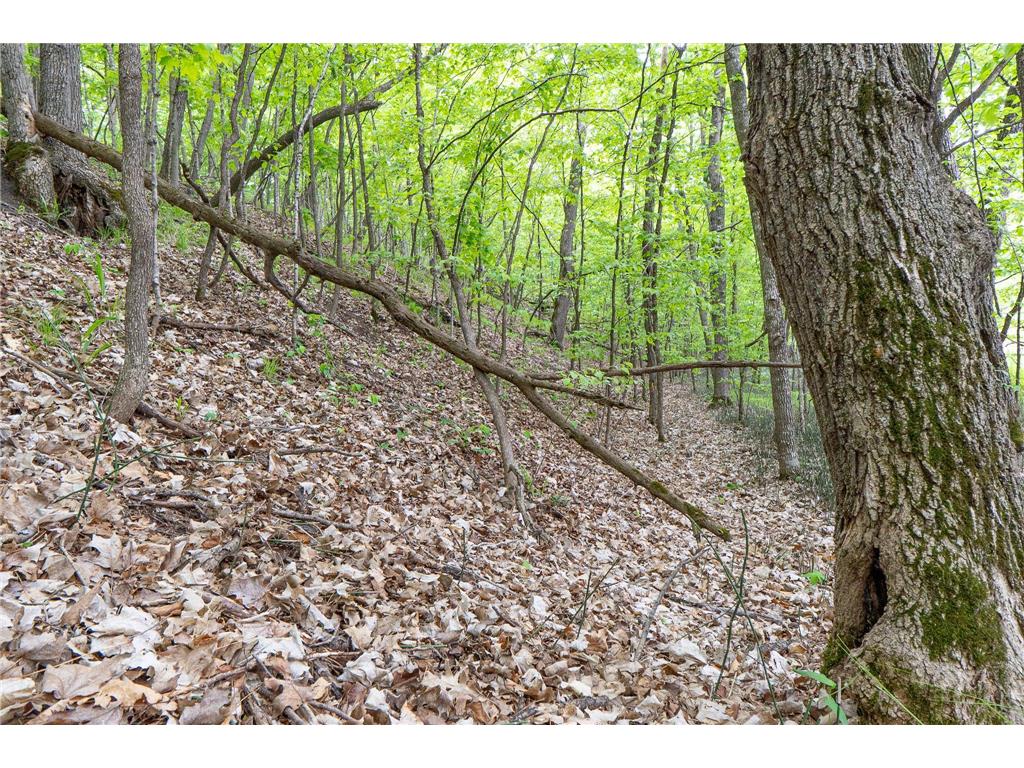 (Lot 9) TBD NE Rock Lake Road Rochert MN 56578 - Rock 6786471 image23