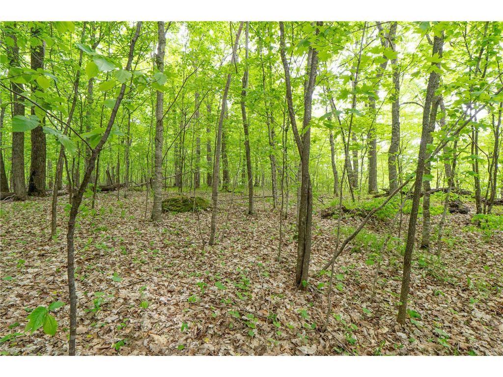 (Lot 9) TBD NE Rock Lake Road Rochert MN 56578 - Rock 6786471 image24