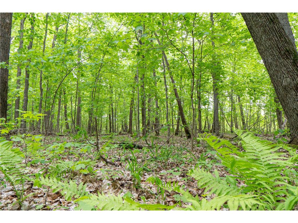 (Lot 9) TBD NE Rock Lake Road Rochert MN 56578 - Rock 6786471 image25