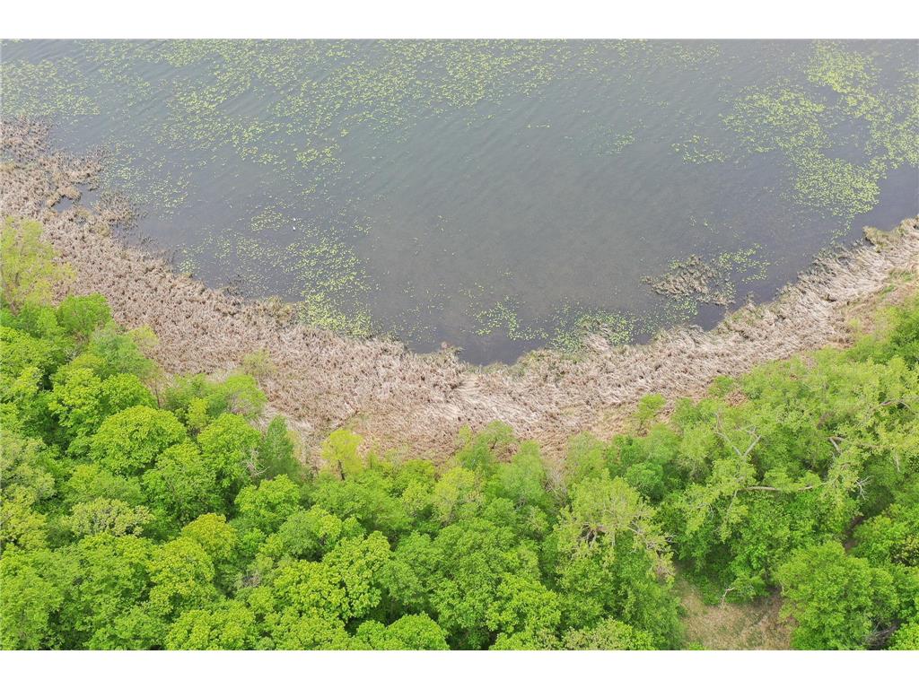 (Lot 9) TBD NE Rock Lake Road Rochert MN 56578 - Rock 6786471 image4