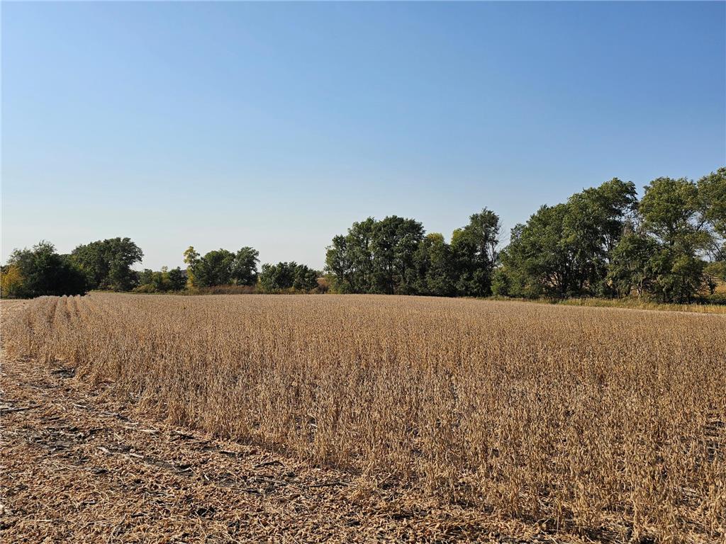 - Mamre Twp Pennock MN 56279 6816284 image1