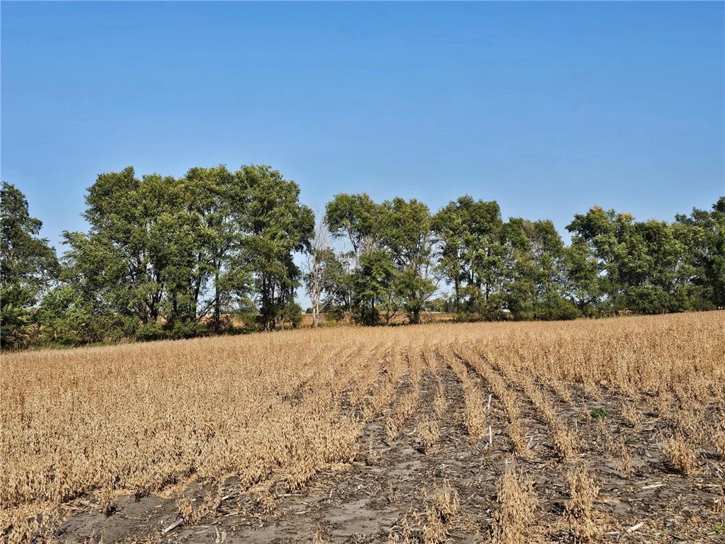 - Mamre Twp Pennock MN 56279 6816284 image10