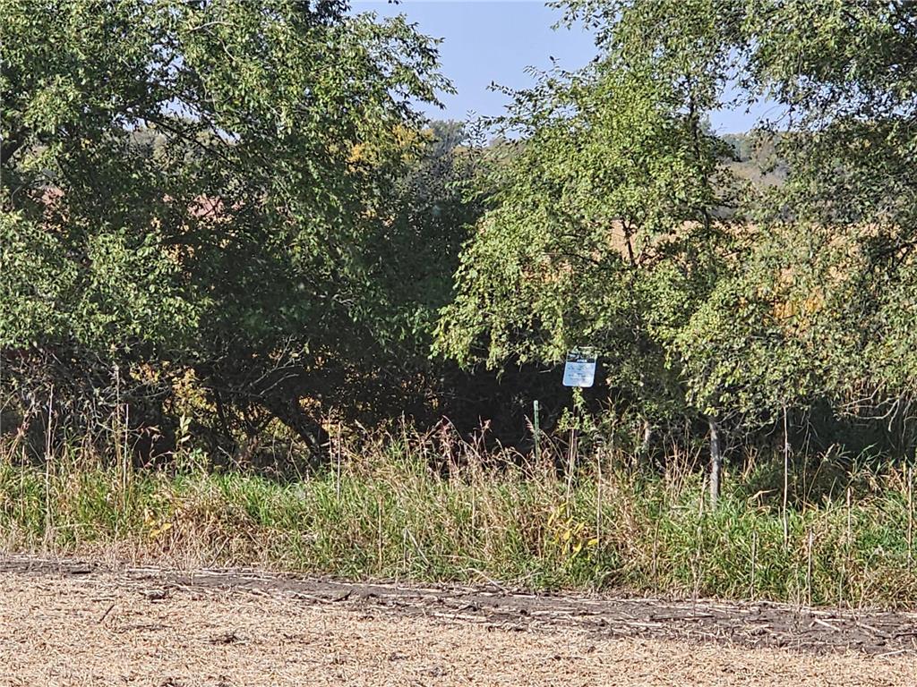 - Mamre Twp Pennock MN 56279 6816284 image12