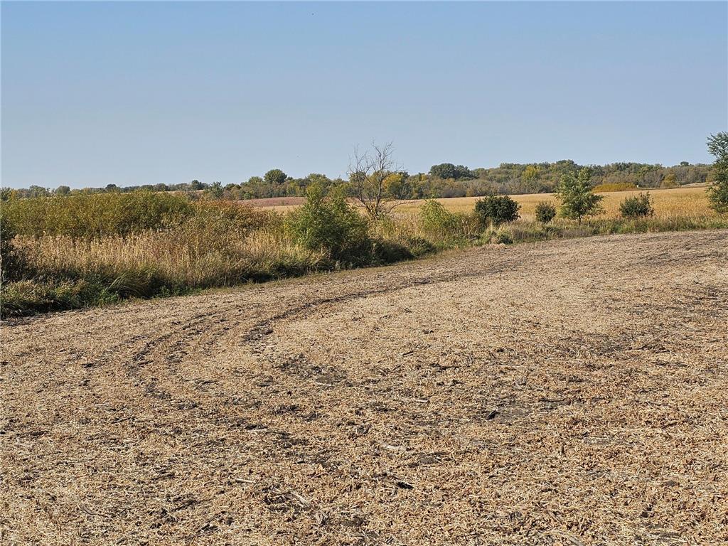 - Mamre Twp Pennock MN 56279 6816284 image13