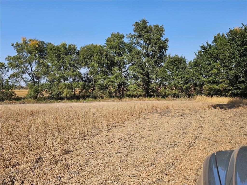 - Mamre Twp Pennock MN 56279 6816284 image2