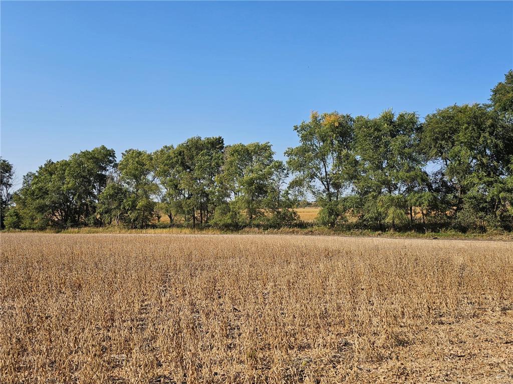 - Mamre Twp Pennock MN 56279 6816284 image3