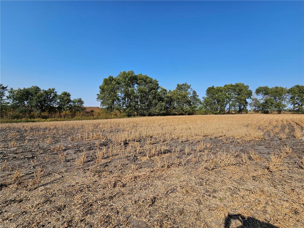 - Mamre Twp Pennock MN 56279 6816284 image6