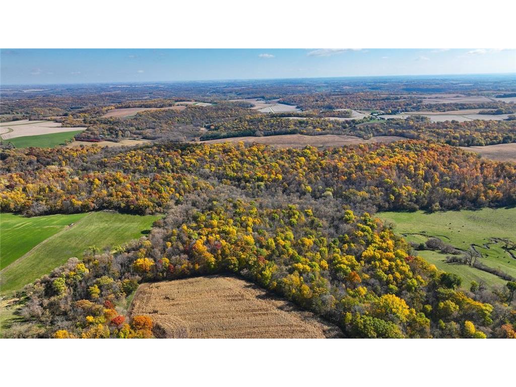 0 100th Street NW New Haven Twp MN 55963 6465120 image1