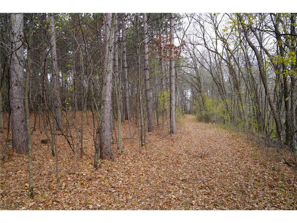 0 100th Street New Richmond Twp WI 54017 - Willow River 6337511 image1