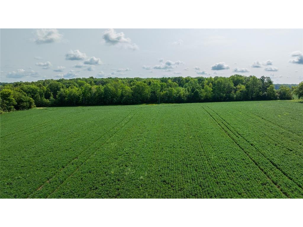 0 140 Avenue Emerald WI 54013 6826539 image6