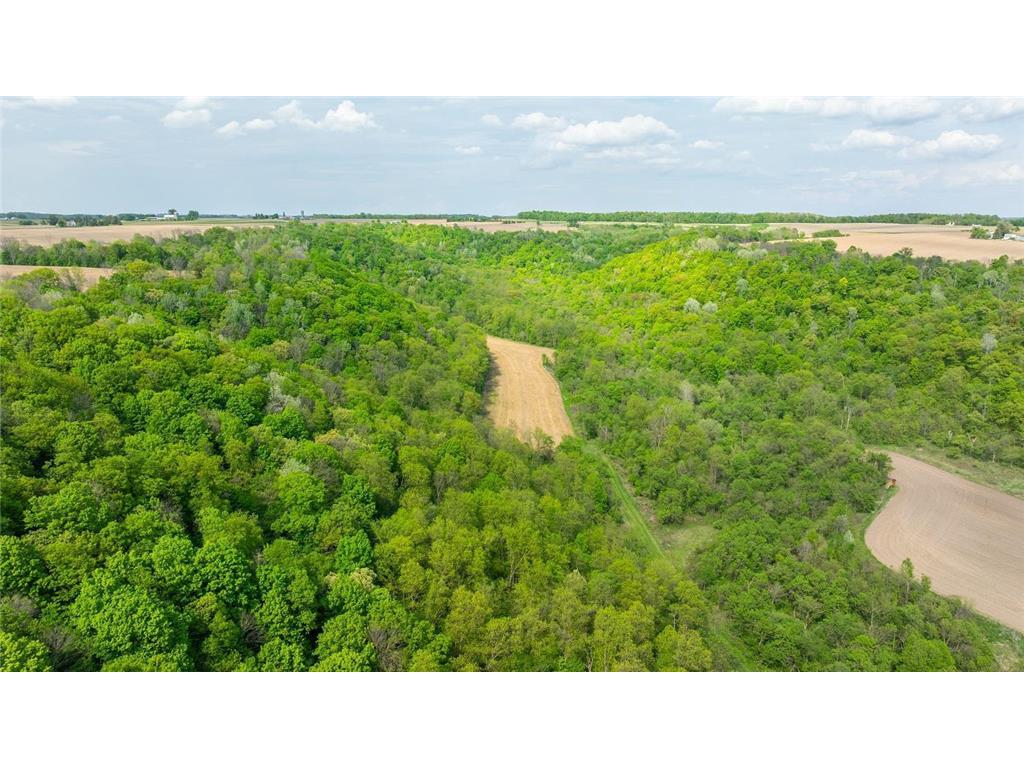 0 145th Avenue Maiden Rock WI 54761 6738759 image1