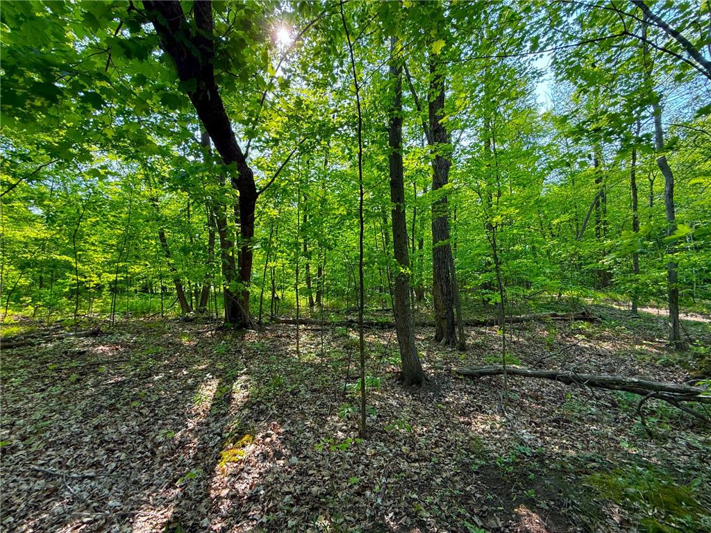 0 182nd Ave Shamrock Twp MN 55760 - Minnewawa Lake 7079046 image10