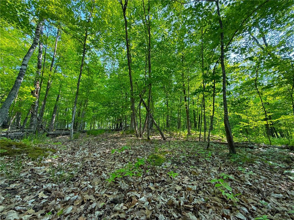 0 182nd Ave Shamrock Twp MN 55760 - Minnewawa Lake 7079046 image11