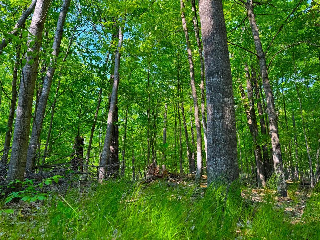 0 182nd Ave Shamrock Twp MN 55760 - Minnewawa Lake 7079046 image12