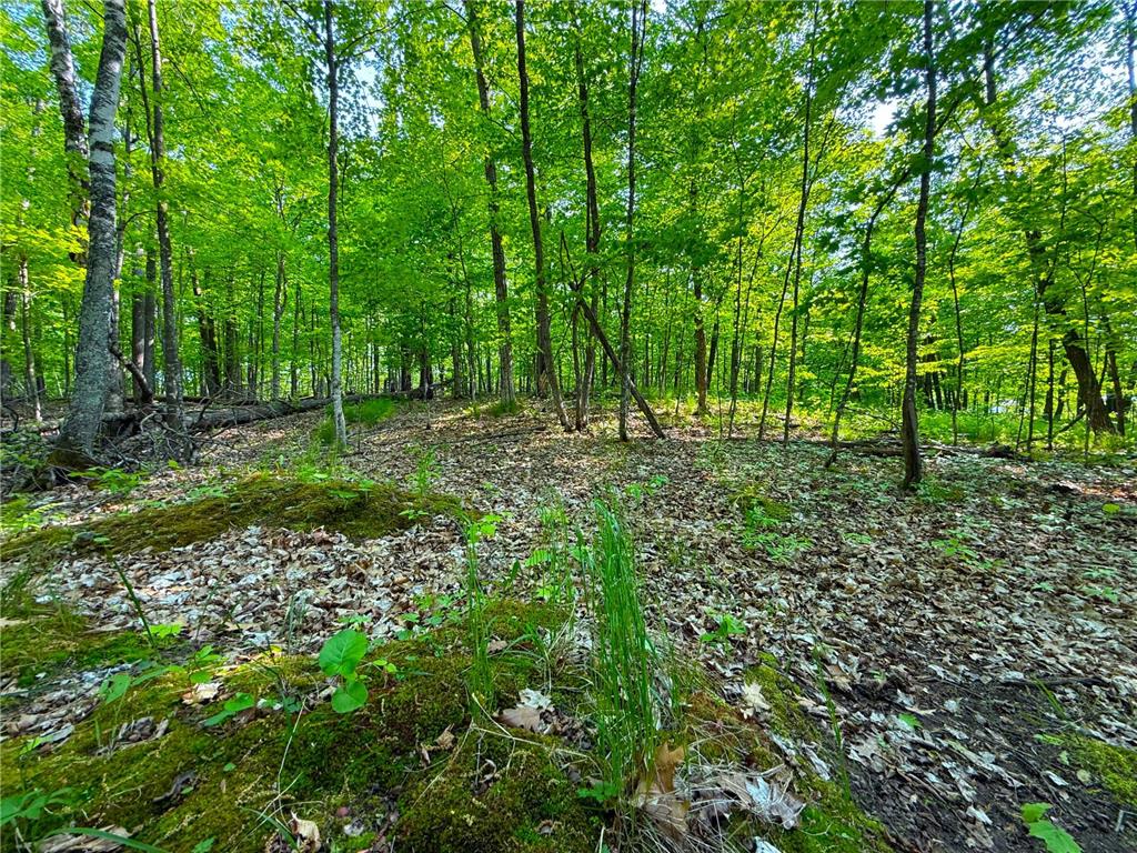 0 182nd Ave Shamrock Twp MN 55760 - Minnewawa Lake 7079046 image3