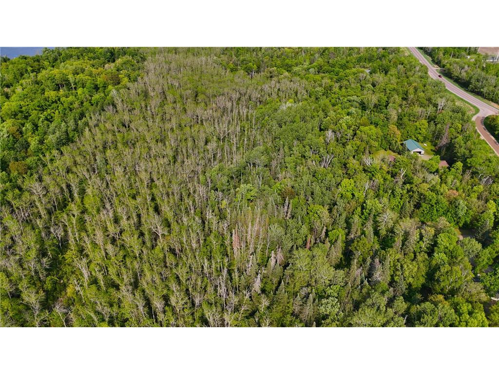 0 182nd Ave Shamrock Twp MN 55760 - Minnewawa Lake 7079046 image6