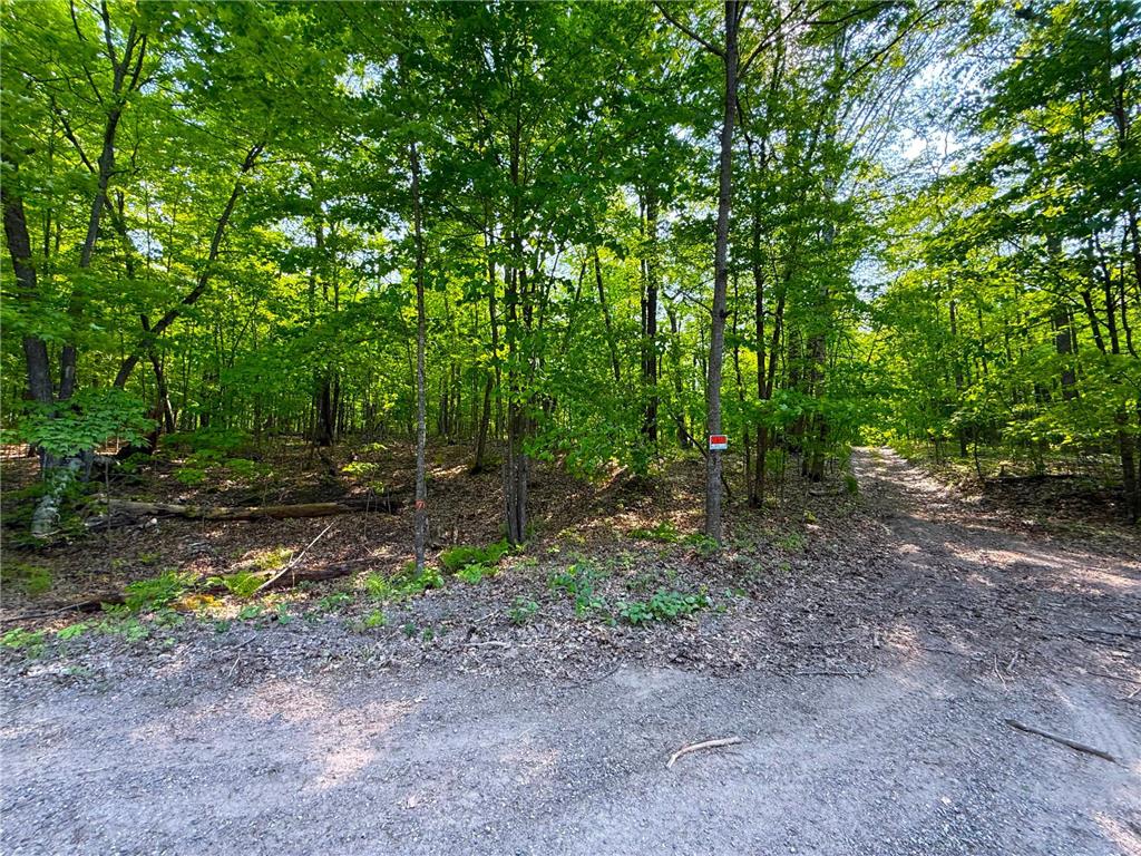 0 182nd Ave Shamrock Twp MN 55760 - Minnewawa Lake 7079046 image8