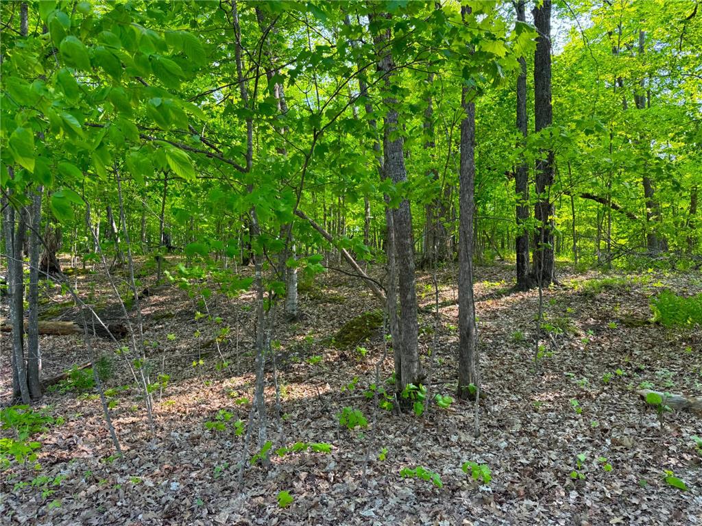 0 182nd Ave Shamrock Twp MN 55760 - Minnewawa Lake 7079046 image9