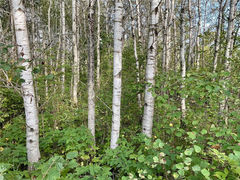 0 189th Avenue Meadow Twp MN 56477 - Cat River 6598779 image1